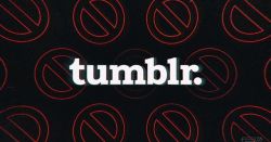 misstressmagenta:  Tumblr will ban all adult content on December 17th:(  Bye bye friends