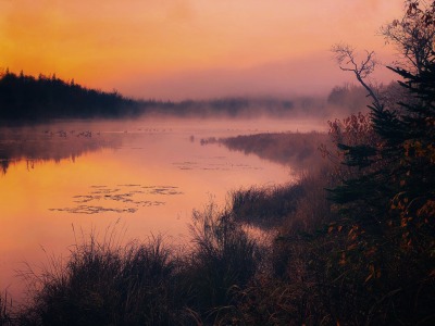 archae-heart-deactivated2021012:eerie morning glow over the misty lake 