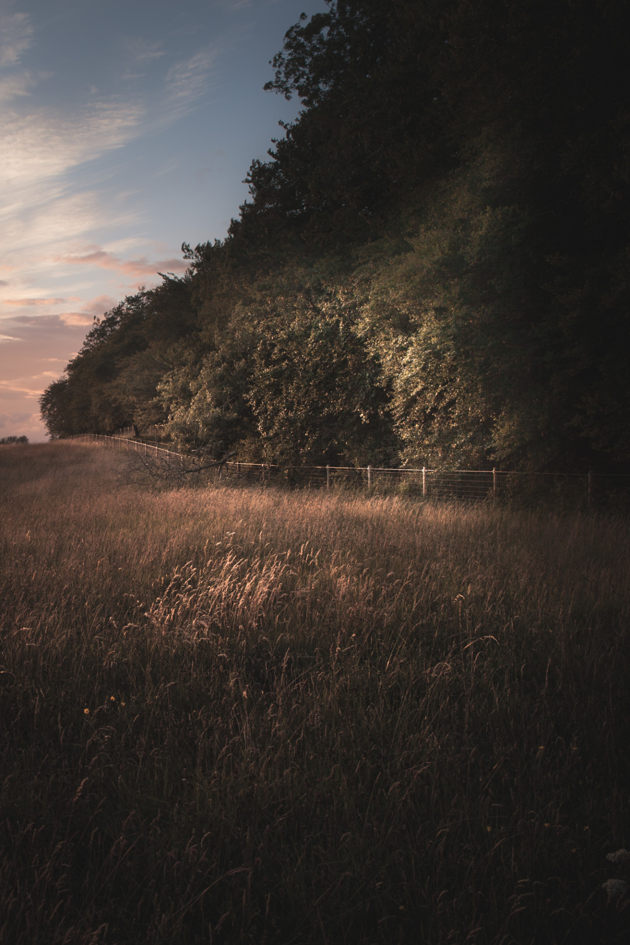 freddie-photography:  Summer sun on Fields and Forests. Gloucestershire, UK  By Freddie
