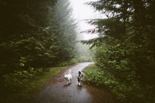 Adventure buddies.Instagram: @k_sto