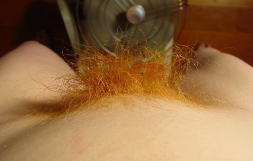 hairy-teeners:  Jill 19yo selfies