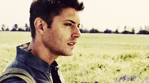 casfallsinlove:4-5/∞ of dean winchester