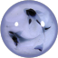 beelzbukyun