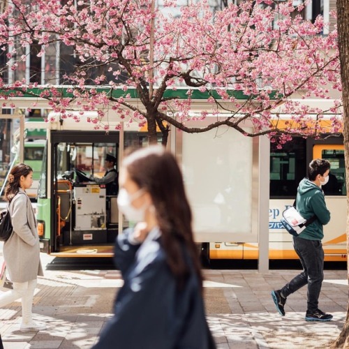 東京より。咲きはじめ。 #tokyo #ikebukuro #daily #instadaily #love #l4l #like4like #instapic #cherryblossom #ins