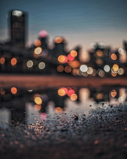 linxspiration:35 Wonderful Examples of Bokeh Photography