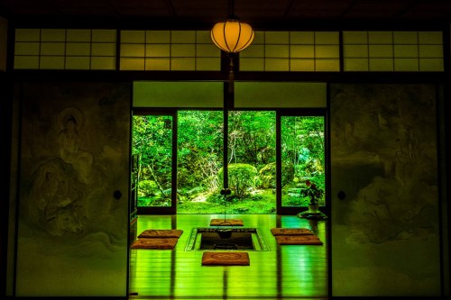 Soothing scenery at the Hosenin temple (Kyoto), by @v0_0v______mkI just love how smooth and shiny th