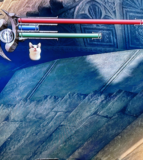 aquariusxiv: shadowcow: Eternal mood: the Cat Ring’s status effect icon in Demon’s Souls