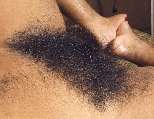 XXX superhirsuteandbushychicks:  Hairy Harley photo