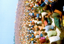 babeimgonnaleaveu:  Crowd at Woodstock Music