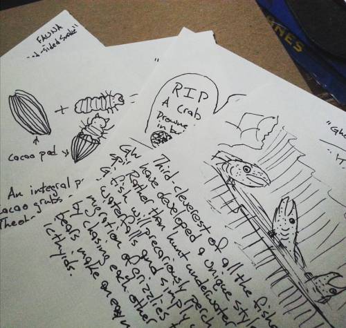 I Still Have To Write Secret Bonus Knowledge, Add A Small Gift, Fold Them, Seal Them, And Mail Them.