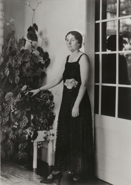 moma-photography: District Administrator’s Wife, August Sander, 1936, MoMA: PhotographyAcquire