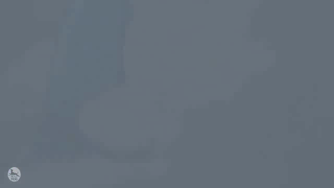 dennisazul:  Gifs I made from the video of X-Buster of Rockman Holic, a music disc