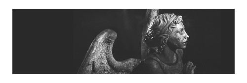 ❝don't blink. don't even blink. blink and you're dead. don't turn your back, don't look away and don
