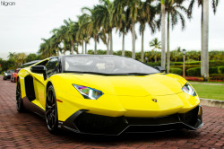 hilgramphoto:  50th Anniversary Aventador