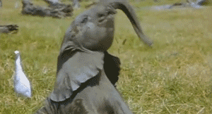 gameofchrons:  is this what having a penis is like   