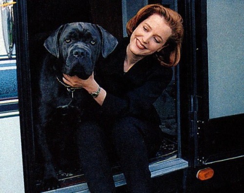 defnotmeyo: medicaldoctordana: Gillian &amp; Dogs This makes me happy