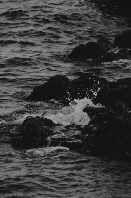 tumblr photo love-and-some-other-shit 0