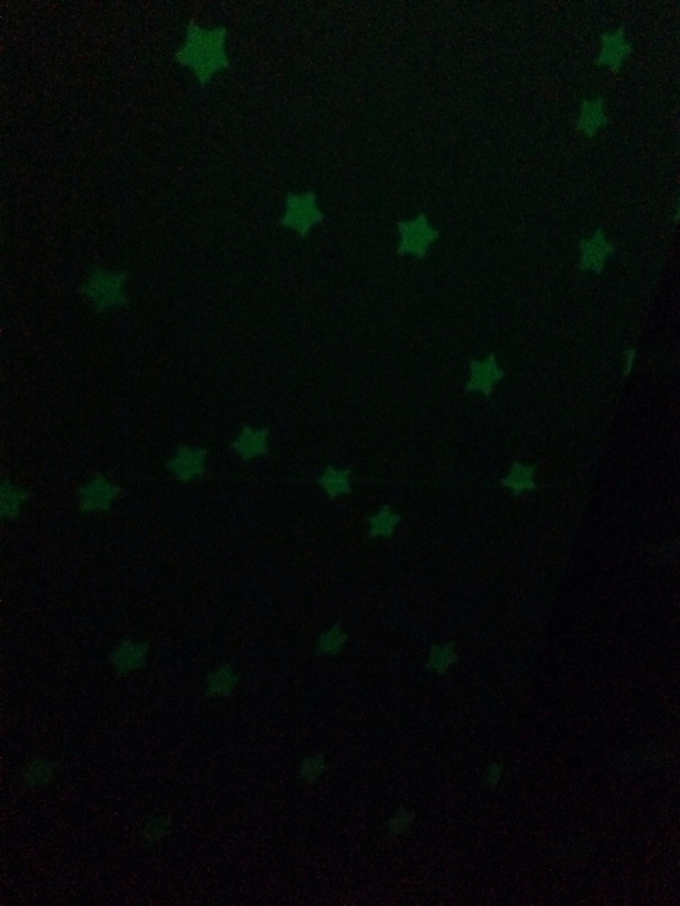papas-little-bugaboo:  Every night, papa won’t let me fall asleep with the tv on,