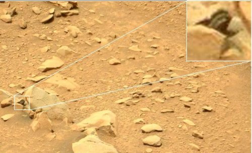 Real Live Martian - Image by NASA’s Mars Curiosity Rover on Sol 127, Dec. 14, 2012 at 14:01:55