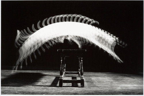 adanvc:  Stroboscopic Motion Study of Cat Jumping Over Piano Bench. 1938. by Harold Edgerton