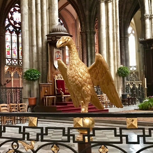 Aigle royal, chaise épiscopale, cathédrale Saint André, Bordeaux, Gironde, 2017.