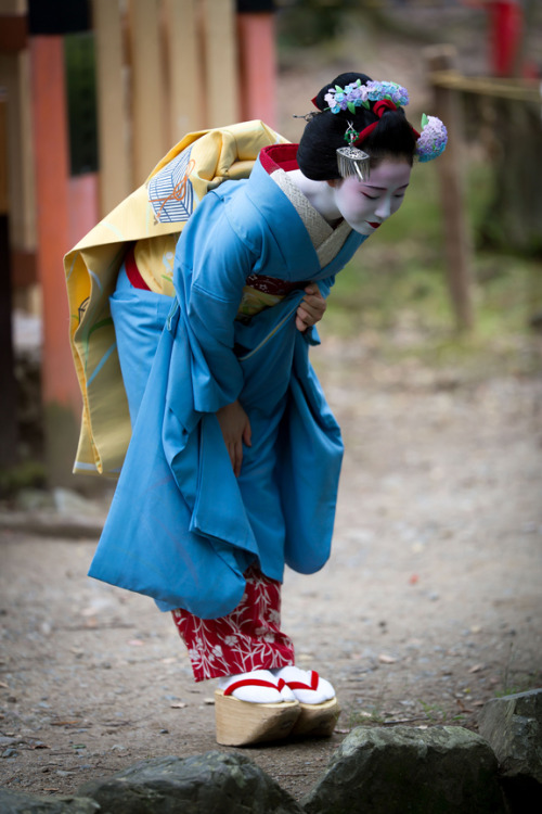 This coordinate owned by Tama okiya (Gion Kobu) is for senior maiko and is currently being worn by M