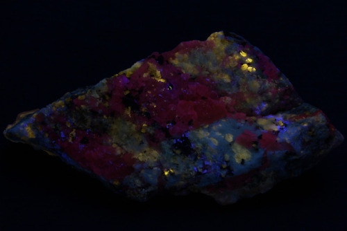 Mixed fluorescent minerals including afghanite, calcite, albite, scapolite, phlogopite, and others y