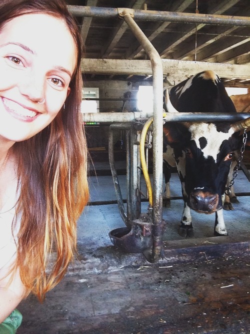 danakandic: Today was FARM DAY at Clearview Farms in Quaryville, PA. I drove out with my parents to