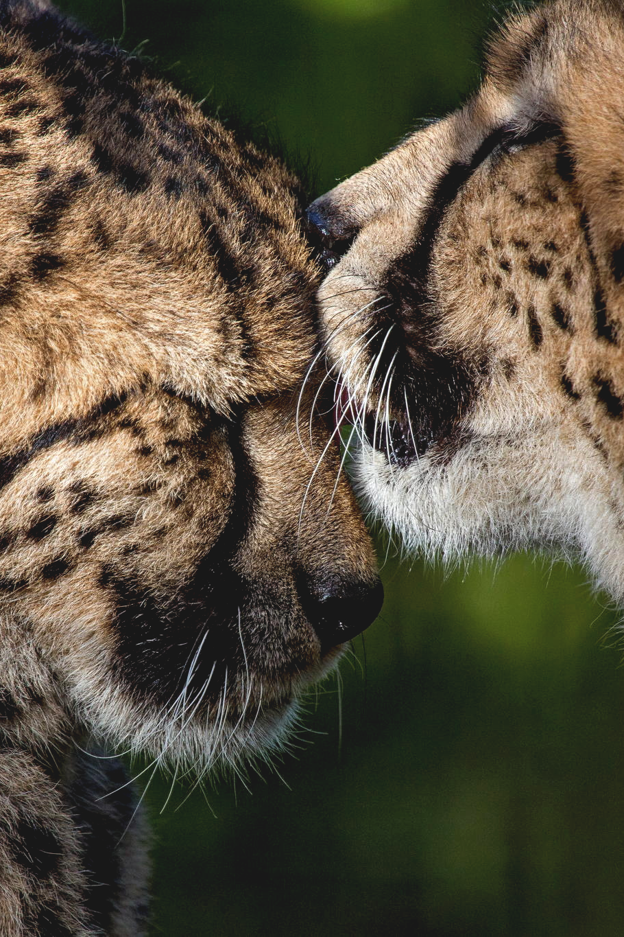 jrxdn:  Affection | Instagram 