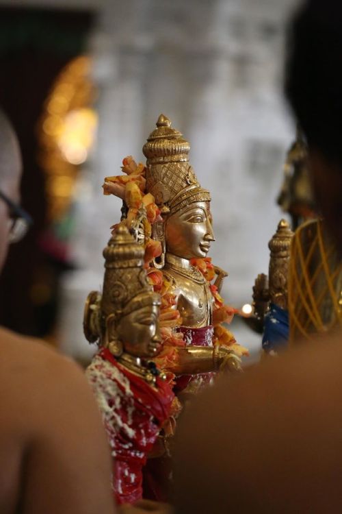 Abhisekha (sacred bath) for Vishnu, Lakshmi, Bhumi and Ramanujacharya deities