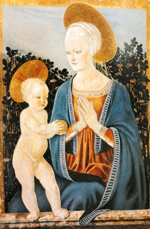 Master of Pratovecchio - Madonna and Child (1435 - 1455)