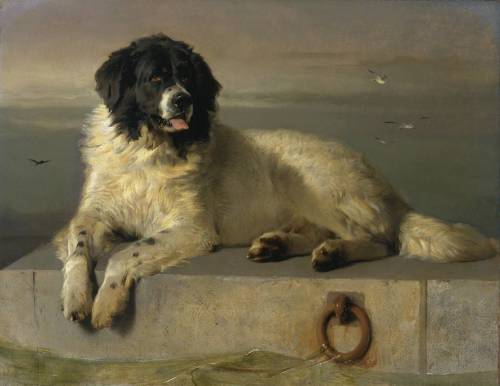 A Distinguished Member of the Humane Society, Edwin Henry Landseer, ca. 1838