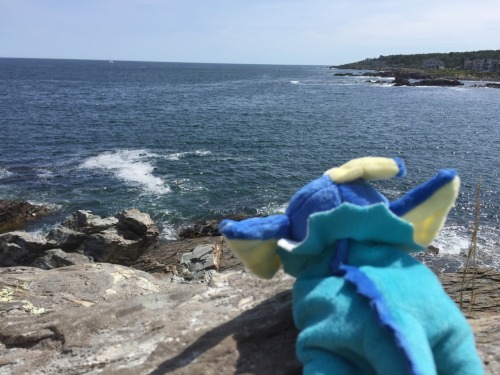 Visited beautiful Maine today with some of the Eeveelu! The weather was so nice (: