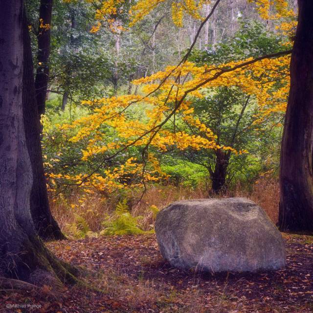 A place to rest