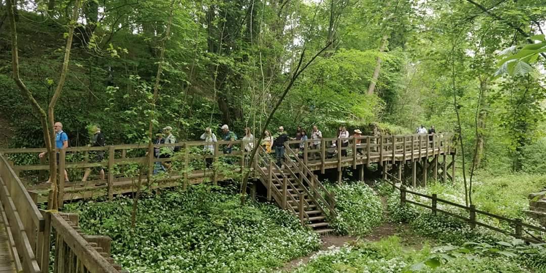 NLRC Walks — Loggerheads Country Park It was a decent sunny...