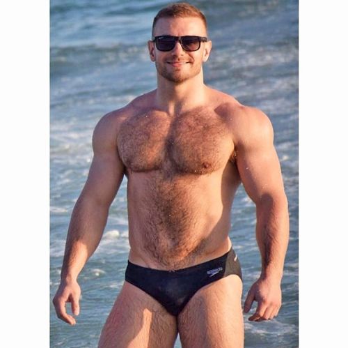 hairychestg:  blackandwhite1789:  Hairy muscle stud   Hairy 