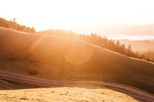 Post number 200.  It&rsquo;s fitting to post a set from one of my favorite spots, Tamalpais. 