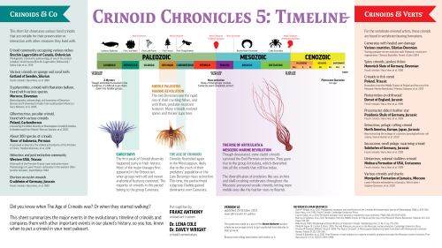 Crinoids! The flowery wonders of the sea!But what exactly are they? And why can they walk?@LenaDoesS