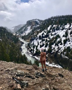 adventurebuns1:  This #gorgeous pic of @the_adventure_kitten comes to us from Yellowstone National Park.  We just love the casual pose overlooking such great scenery……..  The rugged foreground to the river to the snowy mountains……  Obviously the