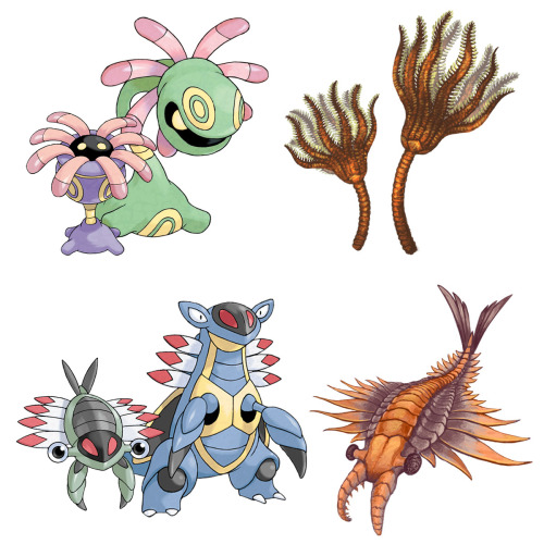 thefingerfuckingfemalefury:vo-kopen:eartharchives:Fossil Pokemon and their extinct inspirationsSee t