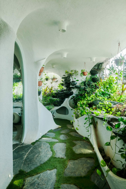 itscolossal: A Verdant Landscape Breathes Life into a One-Bedroom Apartment in a Suburb of Mumbai