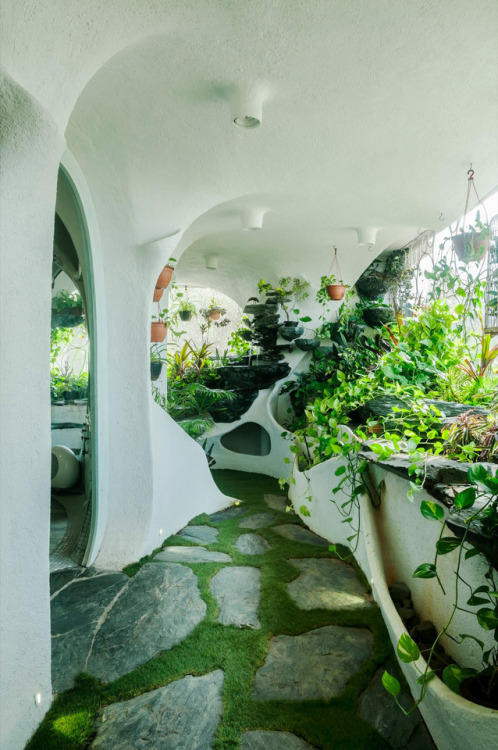 itscolossal:A Verdant Landscape Breathes Life into a One-Bedroom Apartment in a Suburb of Mumbai