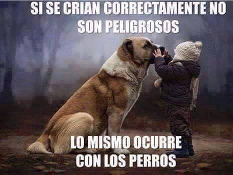chilewebeopuntocom:  No me imagino un Perro Wachiturro!!!!