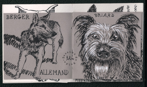 DES CHIENS Par Baldo, Cahier Maison Agraf 12 X14 Cm