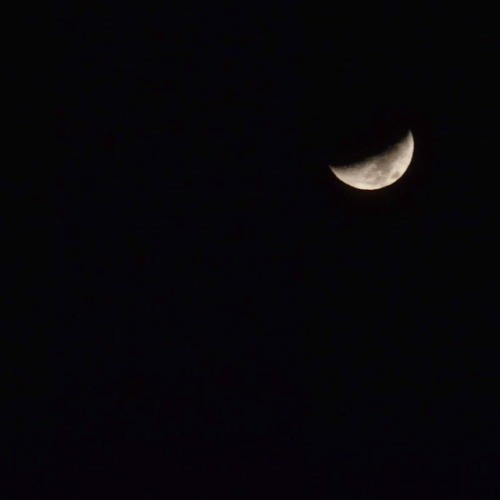 #上弦の月 #夜空 #いまそら #月 #夜 #空 #moon #night #moonlight #quartermoon #sky #20171125 #nikond5300 #写真好きな人と繋がり