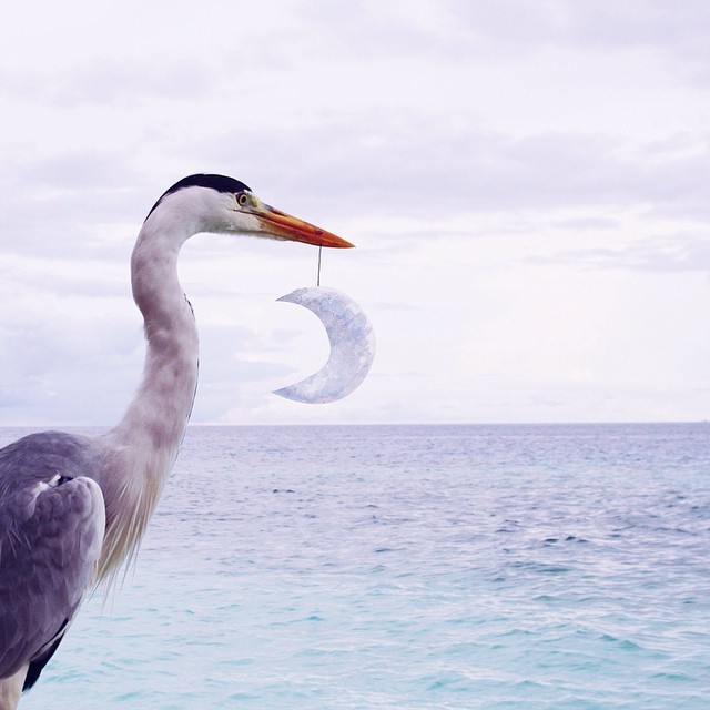 jedavu:  Colorful Illustrations Added to Photos Transform Reality into Fantasy Rio