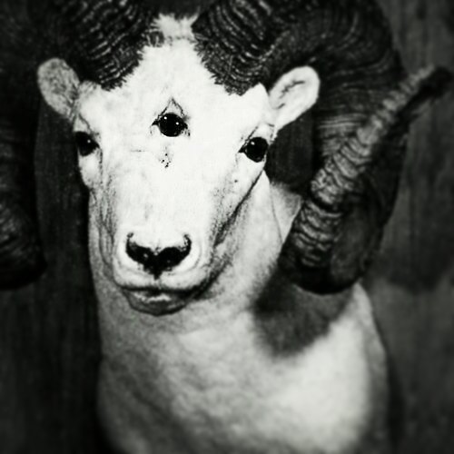 ANTICHRIST SUPERSTAR