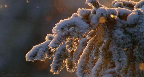 tumblr_mg6asxJyLY1r4zr2vo1_500.gifv