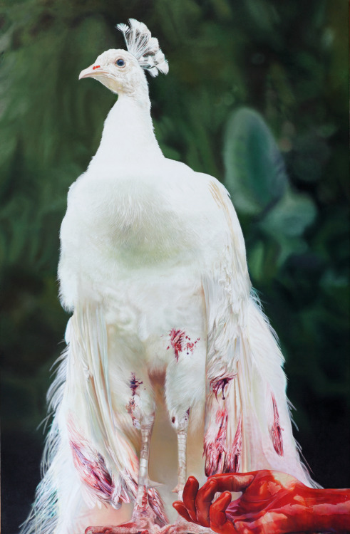 heptagram:  Taner Ceylan 