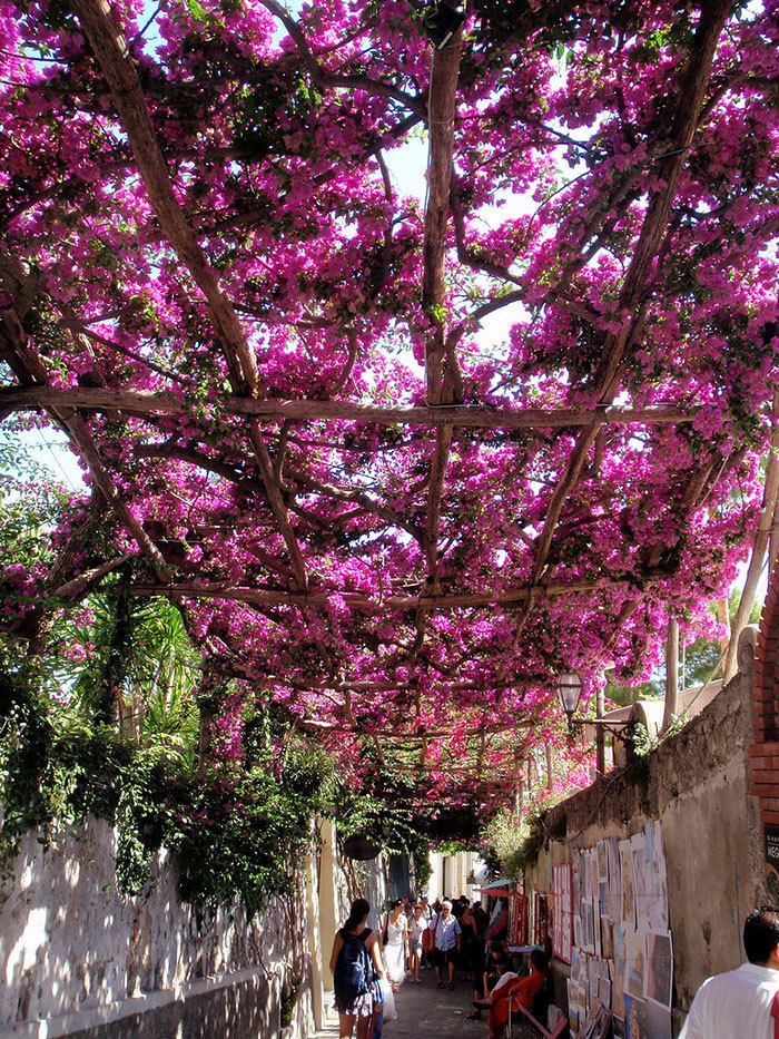 boredpanda:15  Of The World’s Most Magical Streets Shaded By Flowers And Trees